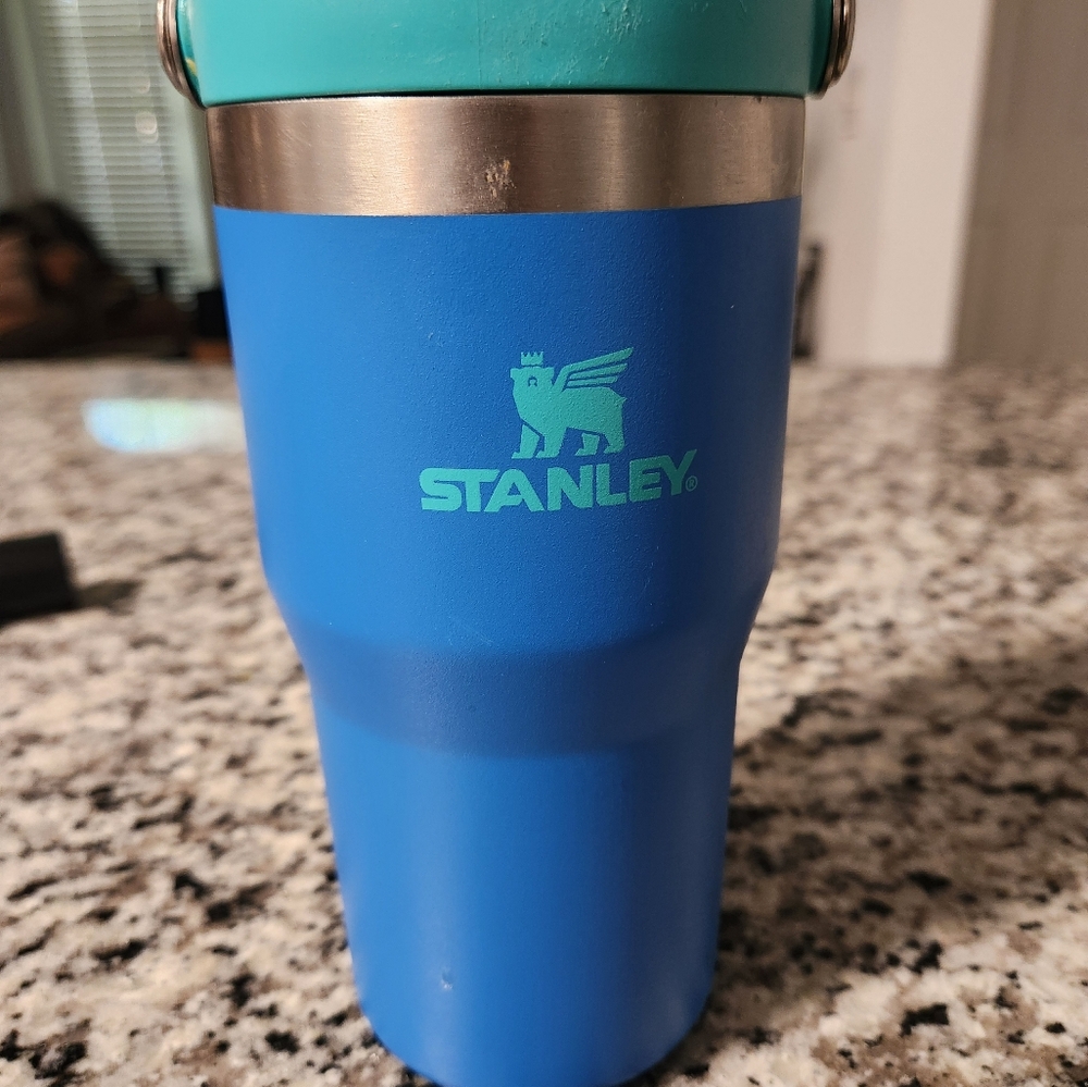 Stanley 20 oz Stainless Steel IceFlow Flip Straw Tumbler
